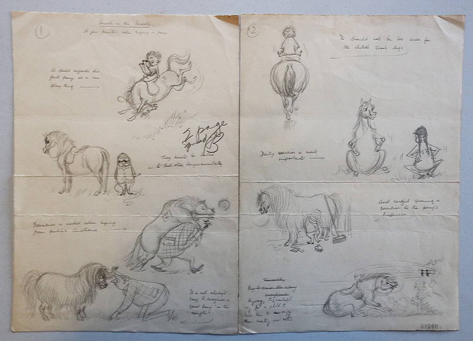 Thelwell pony pencil spread for Punch