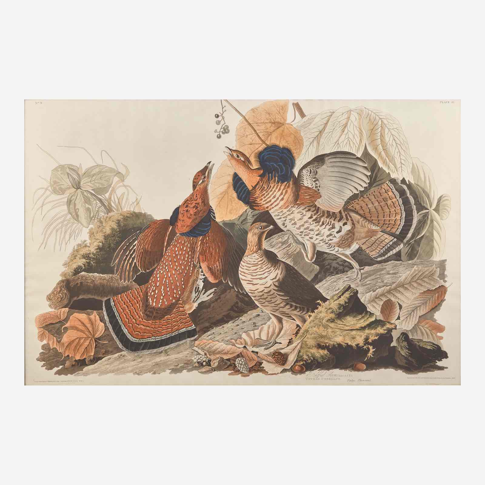 Lot 160: Audubon Grouse