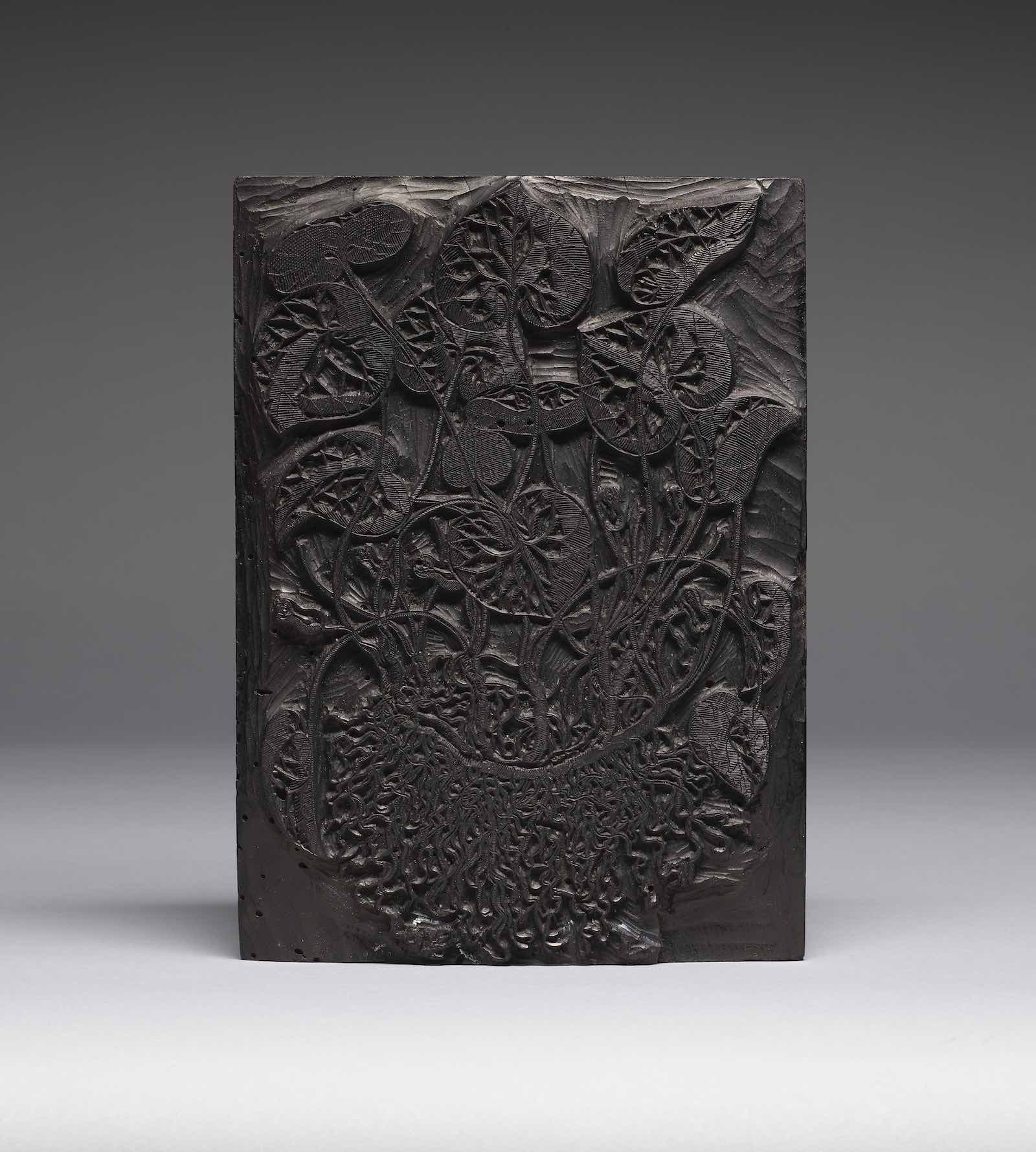 Giorgio Liberale (b. 1527), illustrator Wolfgang Meyerpeck (ca. 1505–1578), blockcutter Hazelwort (Asarum eurpaeum) woodblock Prague, ca. 1562