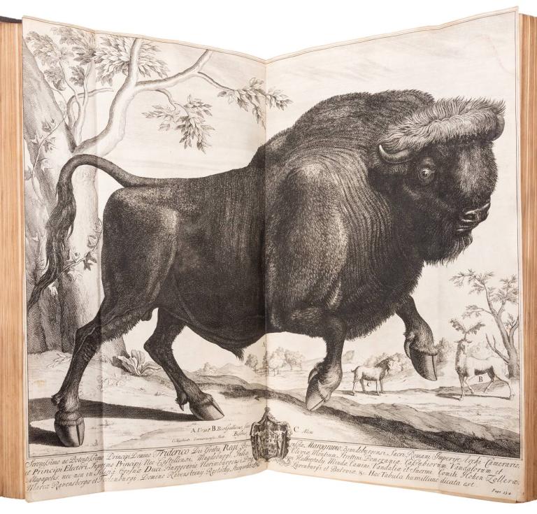 Gaius Julius Caesar's The Commentaries