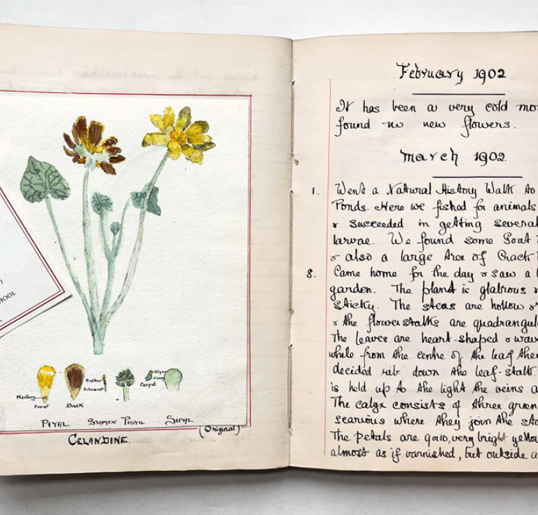 Amy E Morrisey's natural history diary from 1902, sold by Janette Ray Bookseller