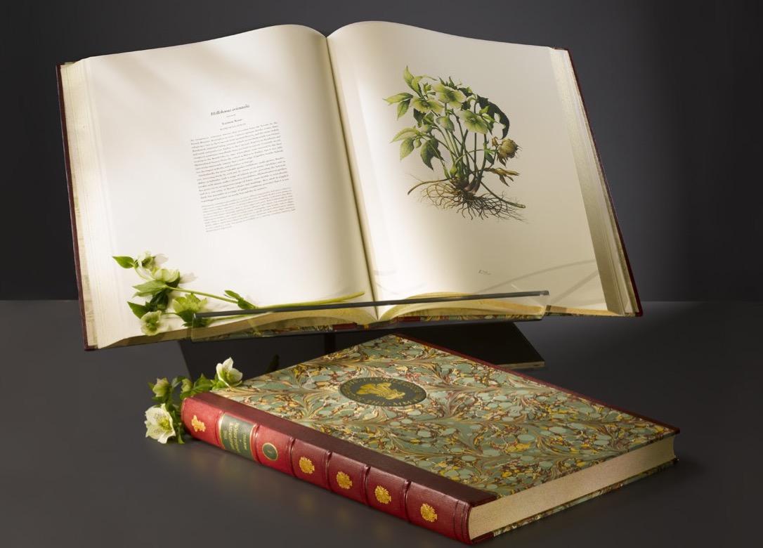 The Highgrove Florilegium